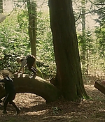 144.jpg