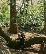 149.jpg