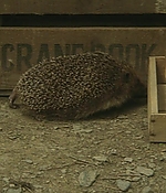 150.jpg