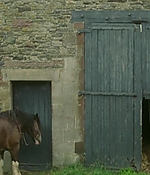254.jpg