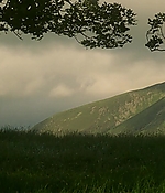 287.jpg