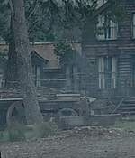 164.jpg