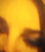 329.jpg