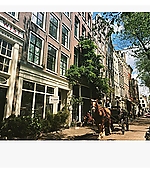 252.jpg
