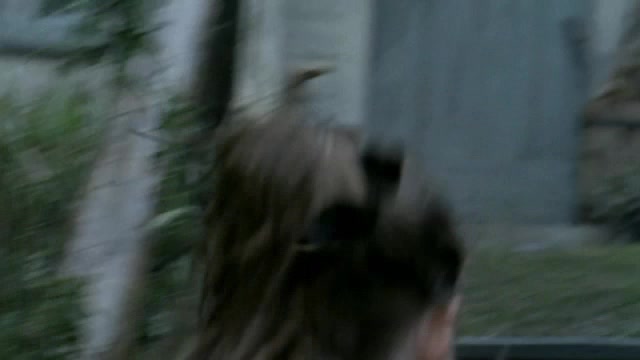 268.jpg