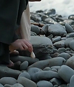 206.jpg
