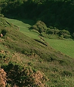 109.jpg